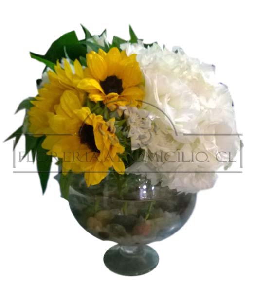 Copa de Girasoles y Lisianthus